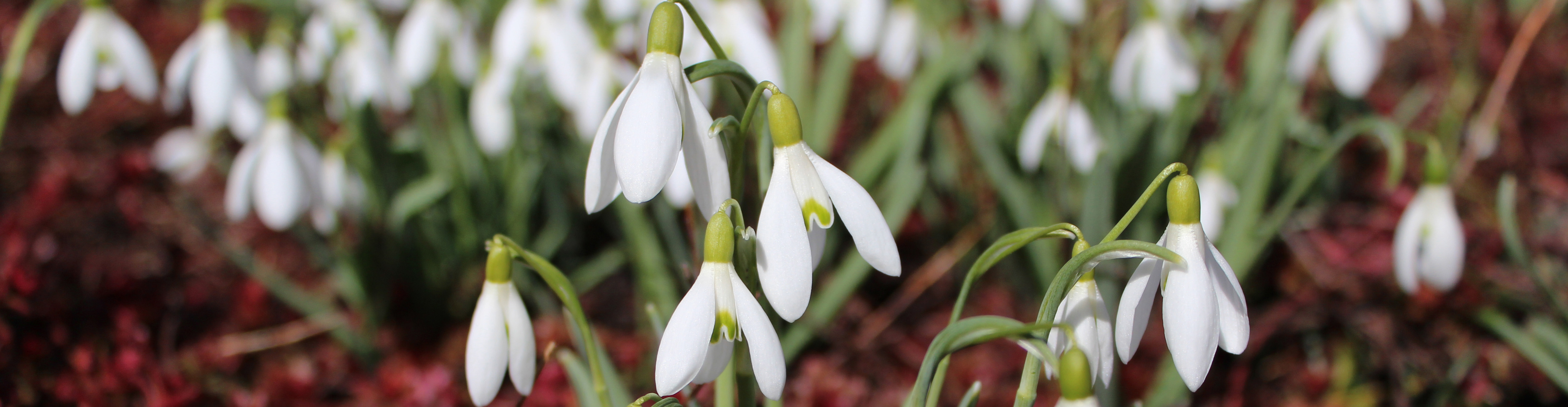 Impressionen aus dem Surental